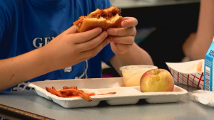 Lawmakers rally in Albany for universal school meals