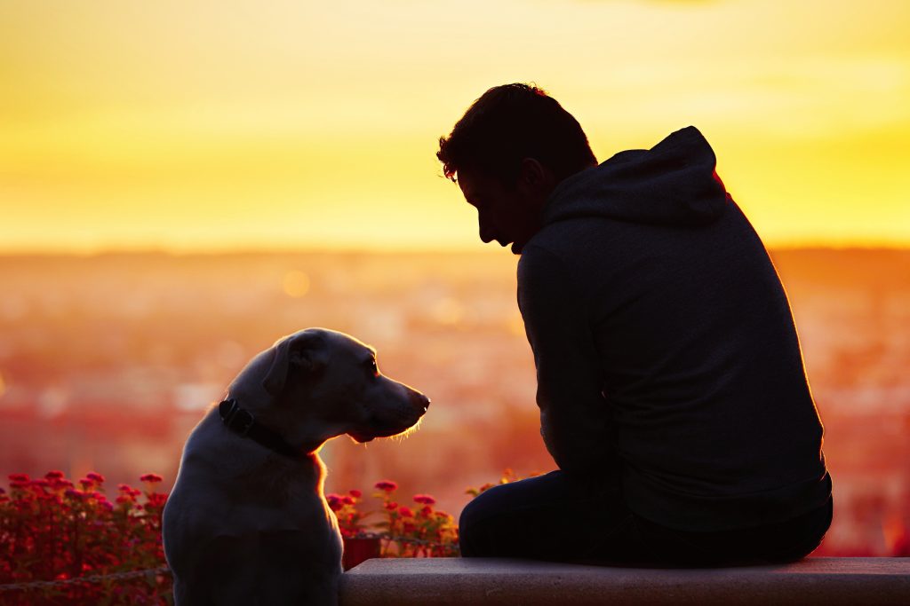 Good Samaritan Helps Social Homeless Man and His Dog Get Back on Their Street.