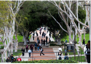 CSU Undergraduates Make History with Formation of Nation's Largest Student Worker Union