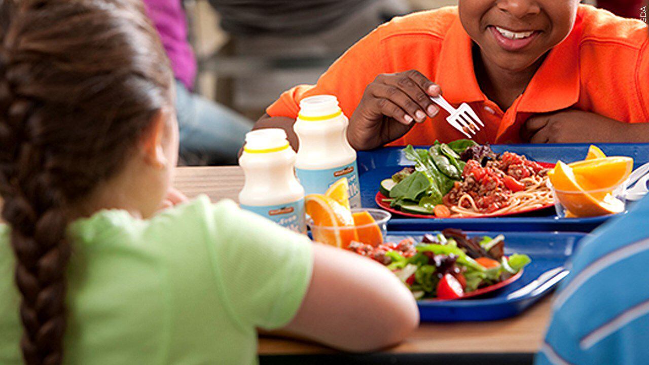 Free Meals for Mechanicville Students: Don't Miss Out!