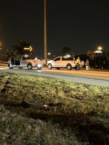 Disturbing Incident: Twin Infants Found Dead in Vehicle on South Florida Interstate