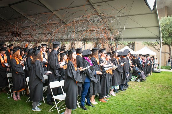 Tech Evolution: California's Bold Move with Comp-Sci Graduation Mandate
