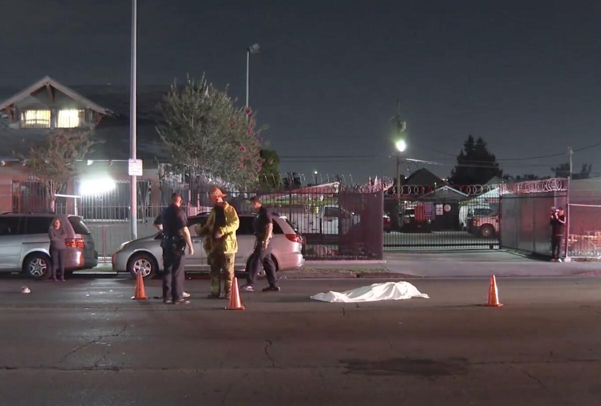 Tragic Shooting Incident in South Los Angeles Neighborhood