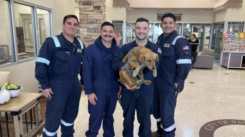 Dog rescued by Coast Guard