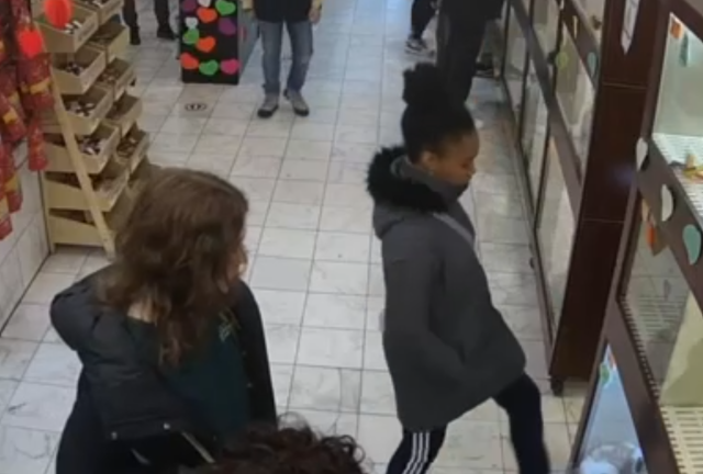 Woman Caught Kicking Puppies in Manhattan Pet Store