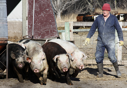 Concerns Over EATS Act: Threat to Kansas’ Pork Industry