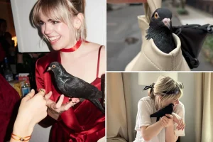 NYC TikTok Star's Potty-Trained Pet Pigeon Goes Viral