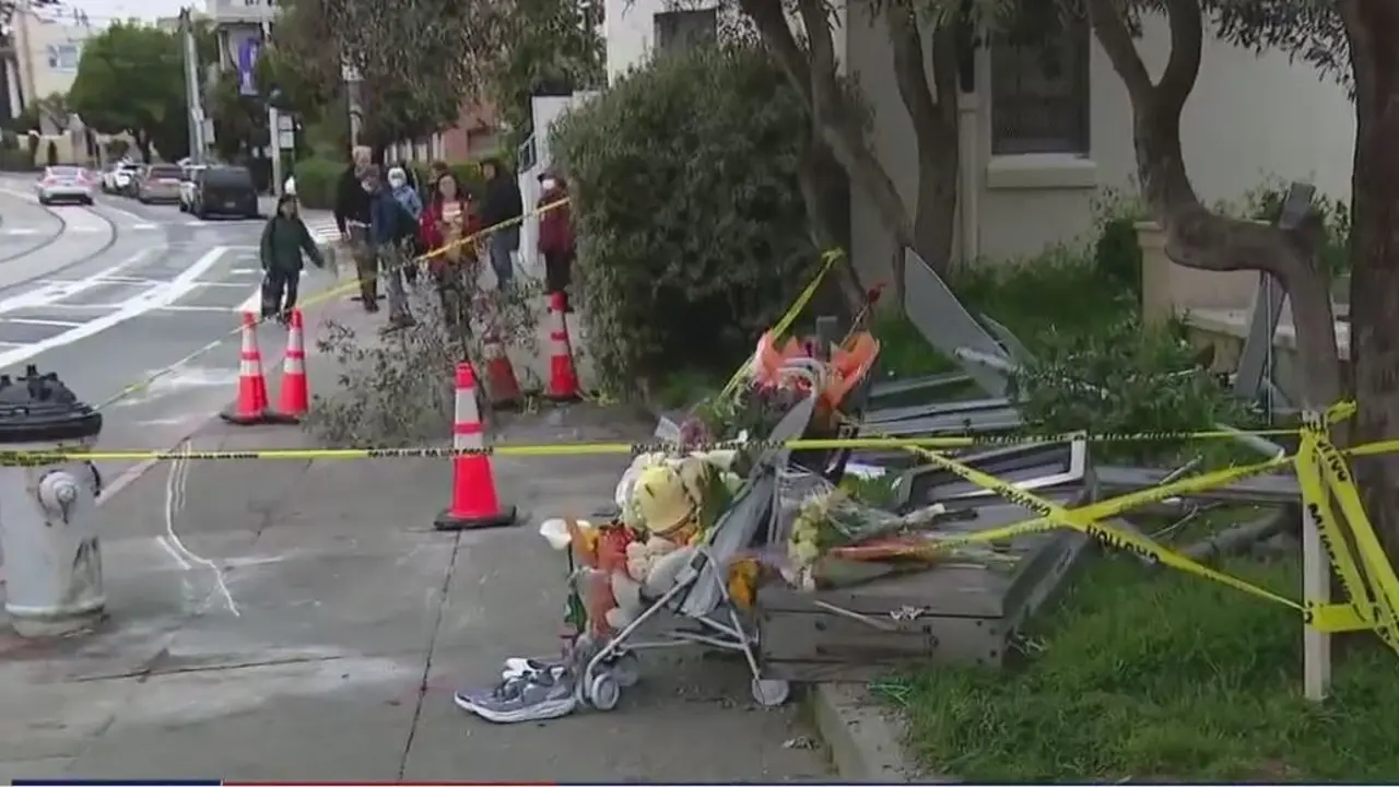 San Francisco Bus Stop Tragedy: Elderly Driver Arrested | Points You Must Know
