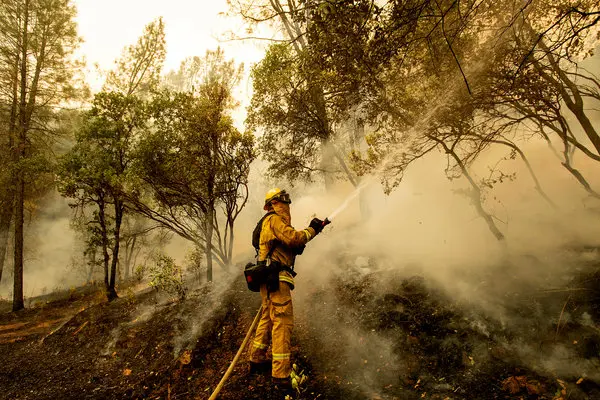 Texas Firefighters Battle Massive Wildfires Amidst Strong Winds and Evacuations