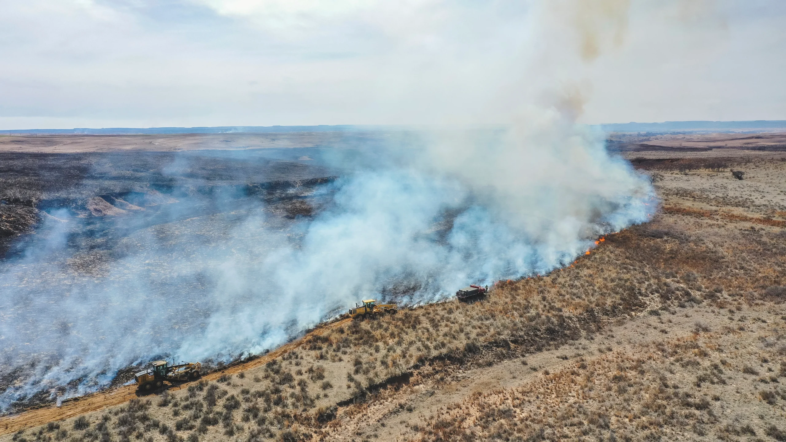 Texas Wildfire Tragedy: Power Company Implicated, Thousands of Cattle Lost