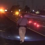 Tragic Loss: Pedestrian Fatally Struck on Freeway Near Balboa Park Identified