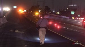 Tragic Loss: Pedestrian Fatally Struck on Freeway Near Balboa Park Identified