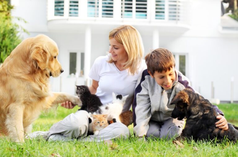 Secure Your Pet's Future: Estate Planning Guide for Pet Owners