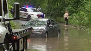 A Woman From West Virginia Was Killed When Debby Fell a Tree on Her House