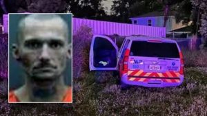 Florida Man Accepts Plea Deal After Joyriding in Hijacked EMS Vehicle and Crashing