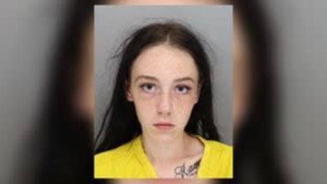 Georgia Woman Sentenced to Prison for Leaving Puppies to Die in 95-Degree Heat