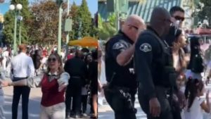 Repeat Offender Arrested at Disneyland for Failing to Pay Ticket Fees While Accompanied by Two Children