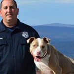 Loyal Pit Bull Guards Body of Missing NY Man Until Discovery, Police Report