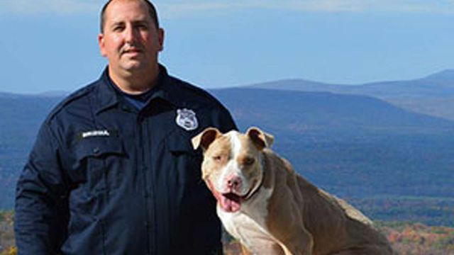 Loyal Pit Bull Guards Body of Missing NY Man Until Discovery, Police Report