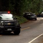 Teen Arrested After 5 People Found Dead in Washington State Home