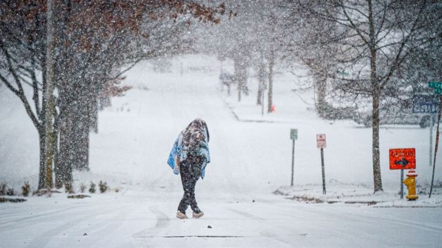 Arctic Blast Alert Heavy Frost and Freeze Threaten Florida, Georgia, and South Carolina