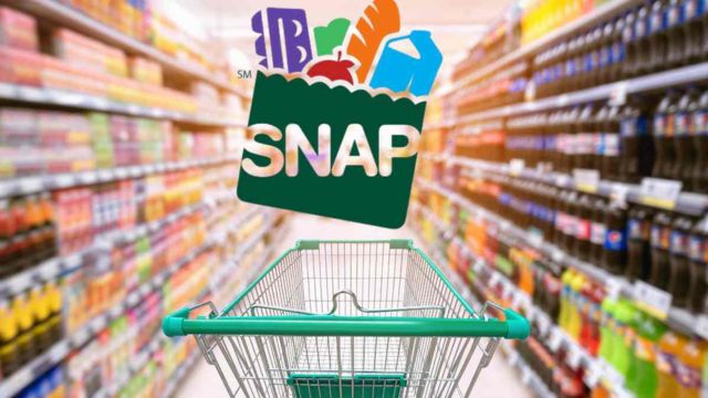 SNAP Alert Up to $1,756 in Food Stamps Being Issued This Week – Check Your State's November Schedule