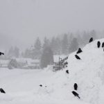 Thunderstorms, Mountain Snow, and Cool Weather Hit Northern California