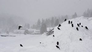 Thunderstorms, Mountain Snow, and Cool Weather Hit Northern California