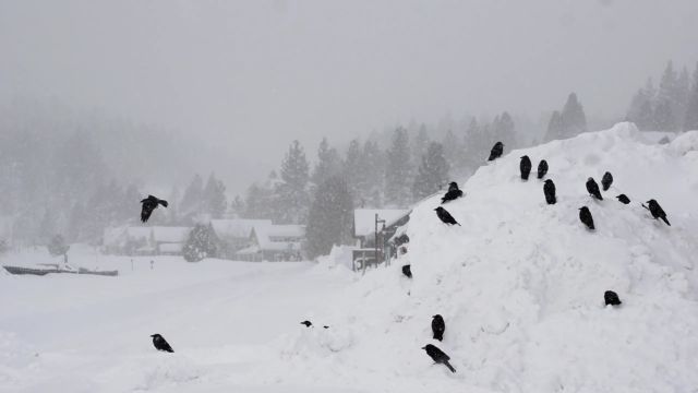 Thunderstorms, Mountain Snow, and Cool Weather Hit Northern California