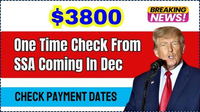 USA $3800 SSA Check December 2024 Eligibility and Payment Dates You Need to Know!