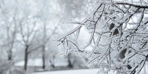 Alabama, Georgia to Tennessee Winter Storm Promises Icy Roads and Heavy Snowfall