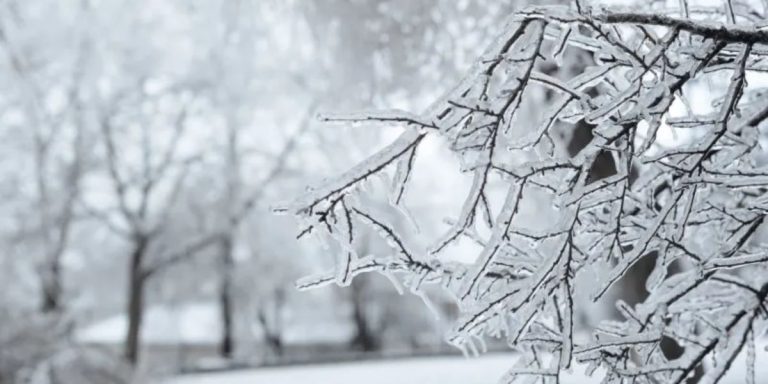 Alabama, Georgia to Tennessee: Winter Storm Promises Icy Roads and Heavy Snowfall