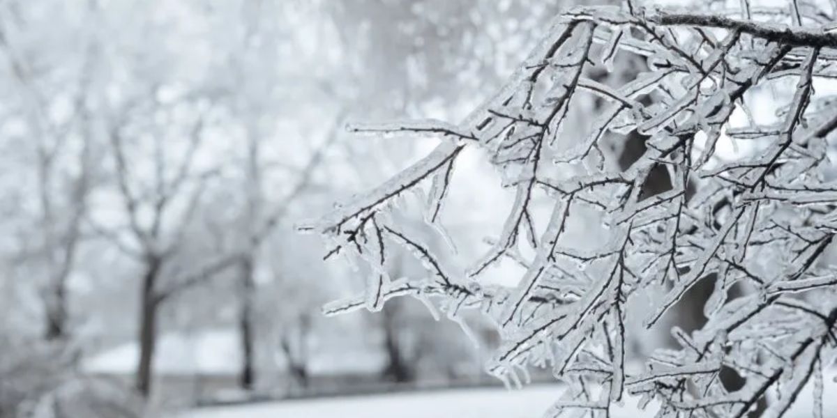 Alabama, Georgia to Tennessee Winter Storm Promises Icy Roads and Heavy Snowfall