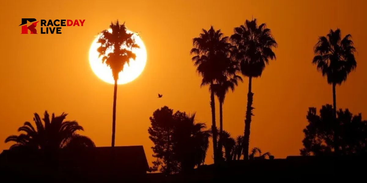 Gusty Winds and Cooler Weather to Start the Week in San Diego, Warming Up by Weekend