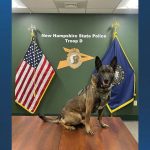 High-Speed Pursuit Ends in Snowbank Crash for New Hampshire Driver; Arrest Aided by K9