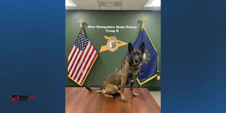 High-Speed Pursuit Ends in Snowbank Crash for New Hampshire Driver; Arrest Aided by K9