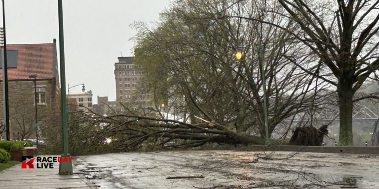 High Wind Warning in Effect for Tucker County, West Virginia: Gusts Up to 60 MPH Expected