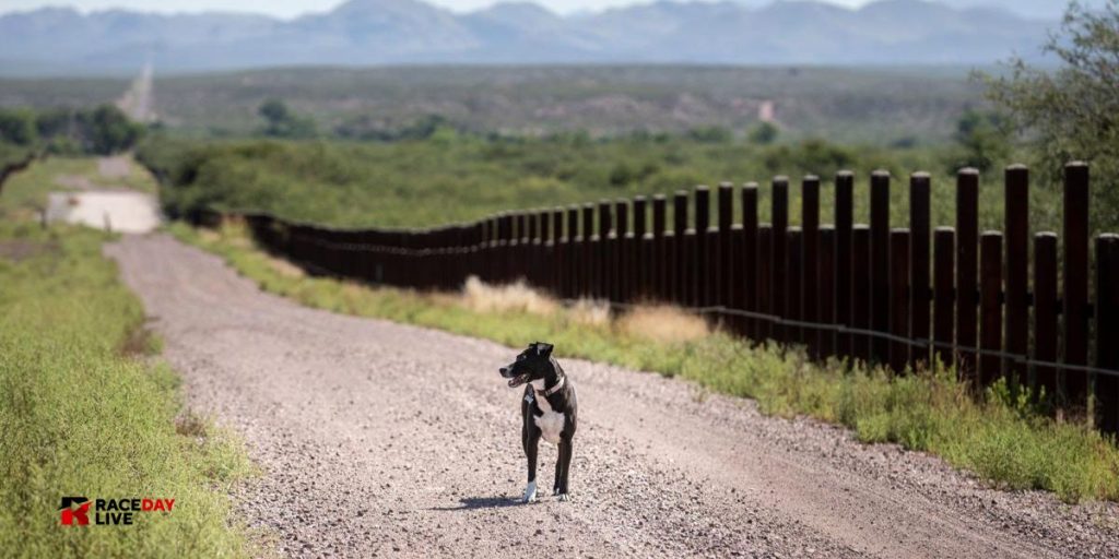 Landowners Along U.S.-Mexico Border Could See Tax Breaks Under New Bill in Arizona