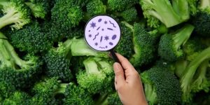 Michigan Walmart Issues Broccoli Recall Amid Listeria Concerns Across 19 States; Indiana and Ohio Stores also Affected