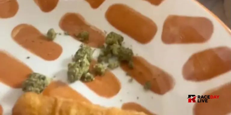 Ohio Woman Finds Cannabis in Kid’s Burger King Meal; Employee Fired for Serious Mistake