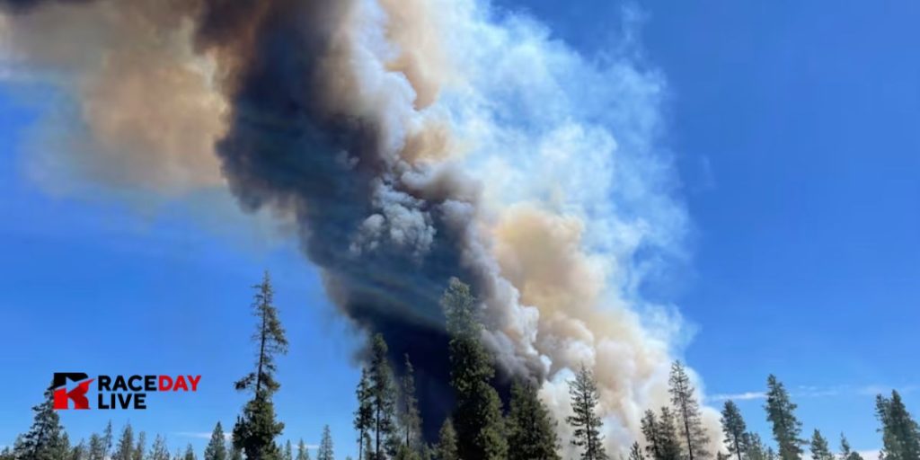 Oregon Introduces New Wildfire Rules for High-Risk Homeowners in 2025 to Mitigate Fire Hazards