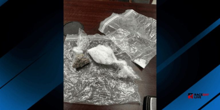 Repeat Offender Arrested in Blount County Drug Bust With Meth; K-9 Units Used in Bust