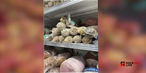 Rodents, Mold, and Expired Food New York Store Ordered to Close by Inspectors (1)