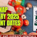 Texas SNAP Recipients to Receive Monthly Benefits Ranging from $2,005 to $4,832 Starting This Week