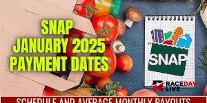 Texas SNAP Recipients to Receive Monthly Benefits Ranging from $2,005 to $4,832 Starting This Week