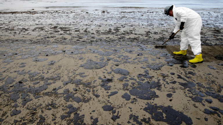 Trump Rescinds Biden’s Offshore Drilling Ban, Opening Florida’s Gulf for Oil Leases!