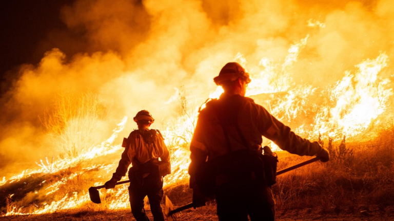 Hughes Fire Scorches Over 10,000 Acres in Los Angeles and Ventura Counties Amid High Winds!