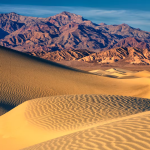 World Desert Day Becomes a State-Recognized Holiday in California to Promote Conservation!