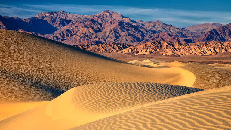 World Desert Day Becomes a State-Recognized Holiday in California to Promote Conservation!