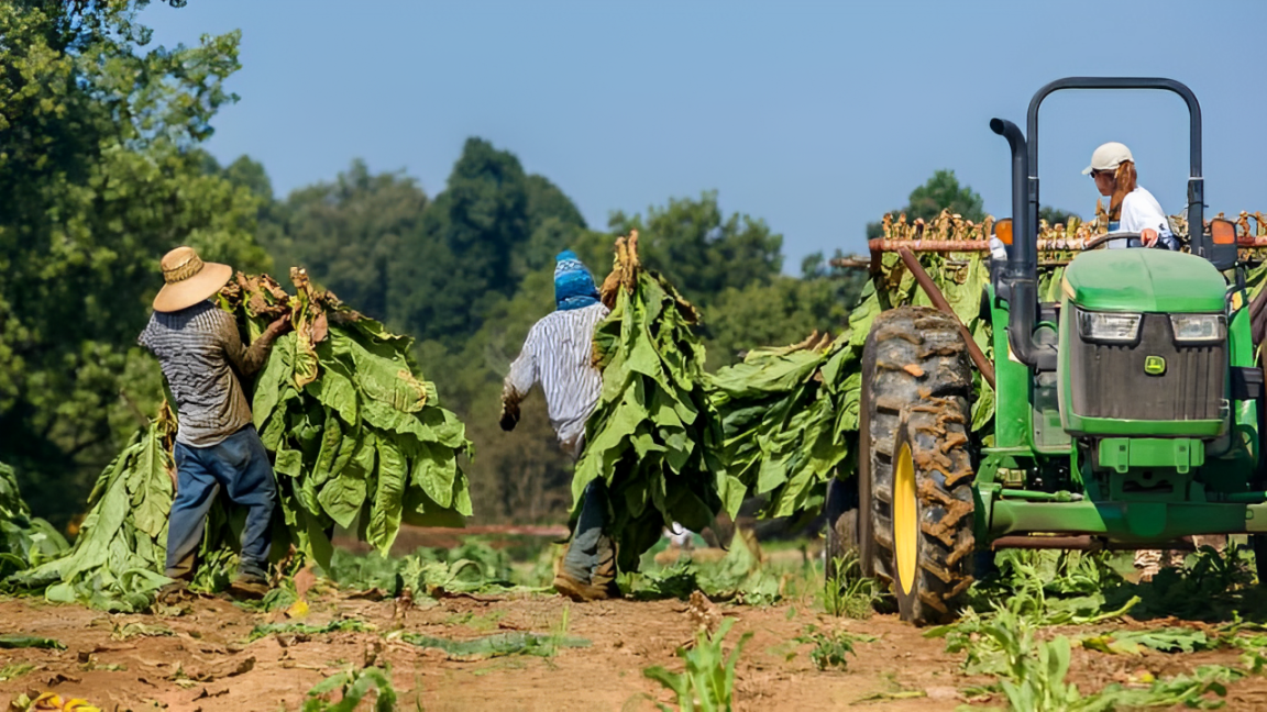 Economic Policy Group Unveils Surprising Data on Immigrants in Kentucky!